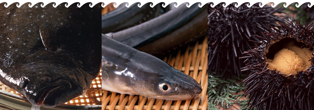産直鮮魚・活魚